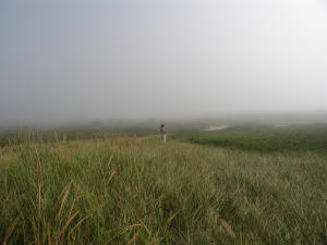 Wendy in the mist