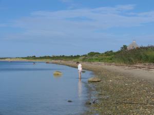 Katie at Monomoy
