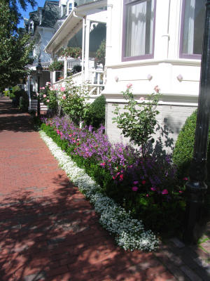 flowers